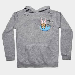 Cat With Bunny Rabbit Disguise With A Mouse In A Bowl Hoodie